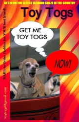 Toy Togs - THE LATEST FASHION CRAZE IN THE COUNTRY!