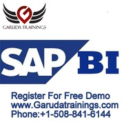 SAP BWBI Training Online In Chicago