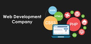 User Prospective Company for Web Development Services