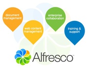 Alfresco solutions and support services