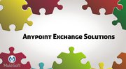 Anypoint exchange solutions and services