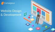Dedicated Website Design and Development Company Chicago